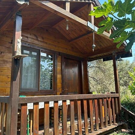 Balikliova Olimpos Bungalov Apart 아파트 호텔 외부 사진