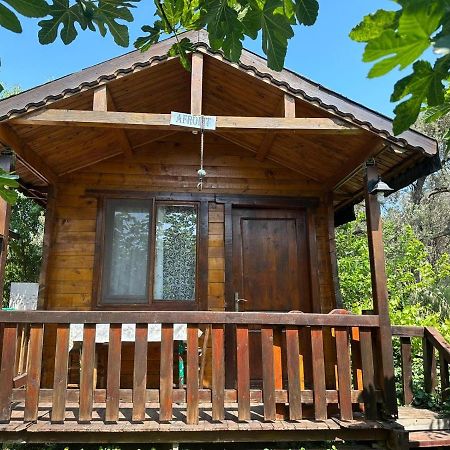 Balikliova Olimpos Bungalov Apart 아파트 호텔 외부 사진