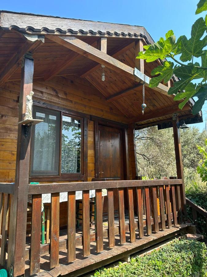 Balikliova Olimpos Bungalov Apart 아파트 호텔 외부 사진
